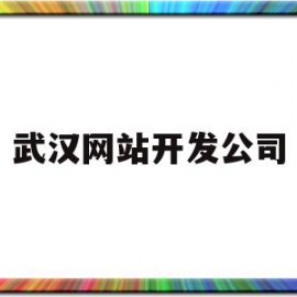 武汉网站开发公司(武汉专门做网站的公司)