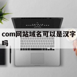 com网站域名可以是汉字吗(com网站域名可以是汉字吗怎么写)