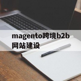 magento跨境b2b网站建设的简单介绍