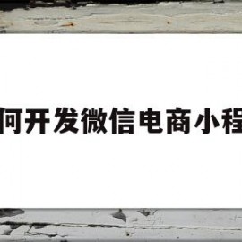 如何开发微信电商小程序(开发一个电商小程序大约需要多少钱)