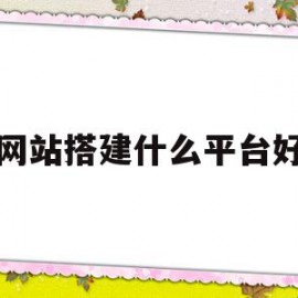 网站搭建什么平台好(网站搭建什么平台好做)