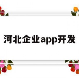 河北企业app开发(河北企业app开发公司)