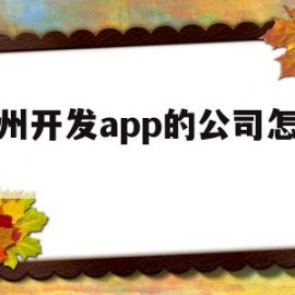 徐州开发app的公司怎么样(徐州开发app的公司怎么样啊)