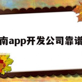 湖南app开发公司靠谱的(湖南省软件开发专科学校有哪些)