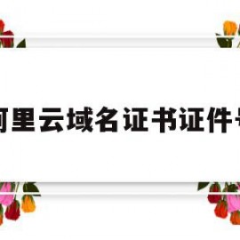 阿里云域名证书证件号(阿里云域名证书在哪里看)