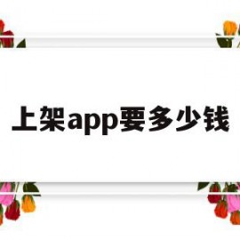 上架app要多少钱(上架app要多少钱一个)