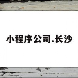 小程序公司.长沙(长沙小程序开发销售工作)