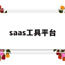 saas工具平台(saas工具是什么意思)