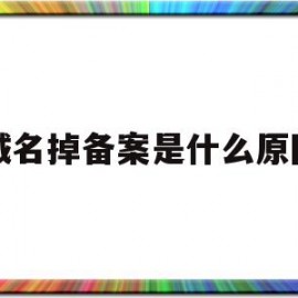 域名掉备案是什么原因(域名掉备案了,还能打开吗)