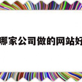 哪家公司做的网站好(网站做的比较好的公司)