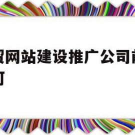 外贸网站建设推广公司前景如何(外贸网站建设推广公司前景如何呢)