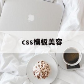 css模板美容(css美化表单案例)