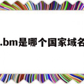 .bm是哪个国家域名(bm是哪个国家的英文缩写)