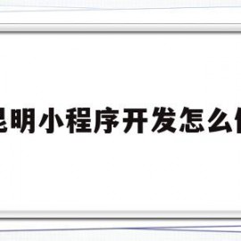 昆明小程序开发怎么做(昆明小程序开发制作公司)