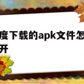 百度下载的apk文件怎么打开(百度下载的apk文件怎么打开不了)