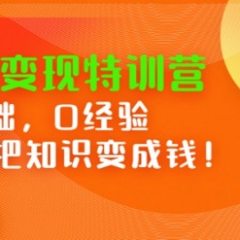 网课变现特训营：0基础，0经验也能把知识变成钱