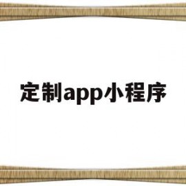 定制app小程序(app小程序定制开发费用)