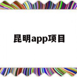 昆明app项目的简单介绍