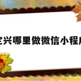 定兴哪里做微信小程序(定兴哪里做微信小程序的多)