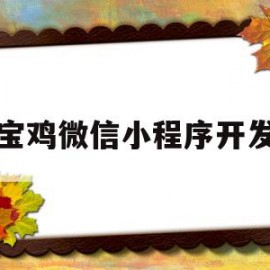 宝鸡微信小程序开发(宝鸡微信小程序开发招聘信息)