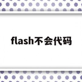 flash不会代码(flash不能正常运行)