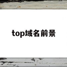 top域名前景(top域名真的做不起来吗)