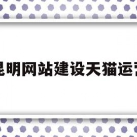 昆明网站建设天猫运营(昆明电商平台的运营的电话)