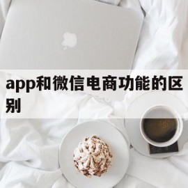 app和微信电商功能的区别的简单介绍