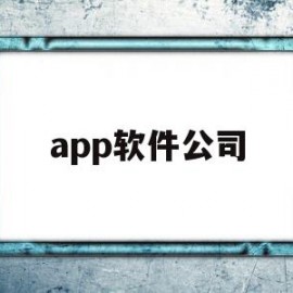 app软件公司(APP软件公司的愿景)