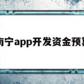 南宁app开发资金预算(开发app资金的筹备和预算)