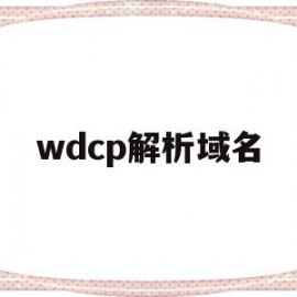 wdcp解析域名(解析域名地址cmd命令)