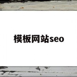 模板网站seo(模板网站seo效果)