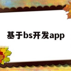 基于bs开发app(bs开发流程)