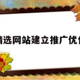 精选网站建立推广优化(精选网站建立推广优化方案)