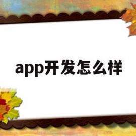 app开发怎么样(app开发难不难)