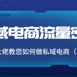 私域电商流量密码：千万级大佬教您如何做私域电商（12节课）