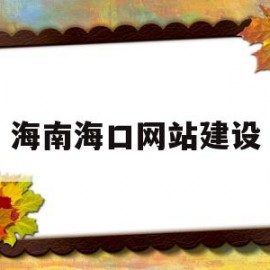 海南海口网站建设(海口网站建设技术支持)