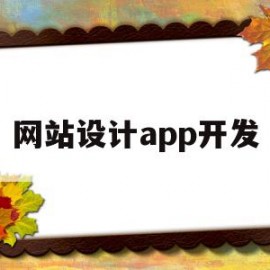 网站设计app开发(网站开发design)