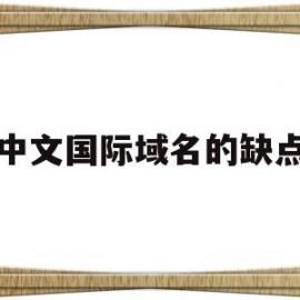 中文国际域名的缺点(国际顶级中文域名申请)