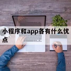 小程序和app各有什么优点(小程序和app有什么优势劣势)