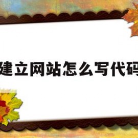 建立网站怎么写代码(建立网站怎么写代码教程)