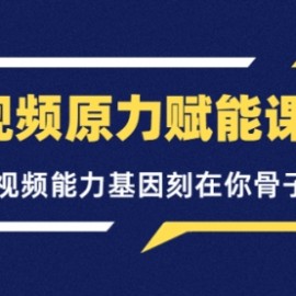 短视频原力赋能课Pro，把短视频能力基因刻在你骨子里的课