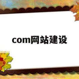 com网站建设(网站建设sz886)