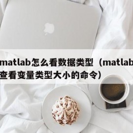 matlab怎么看数据类型（matlab查看变量类型大小的命令）