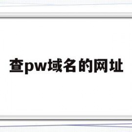 查pw域名的网址(网址域名查询ip地址)