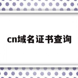 cn域名证书查询(域名注册证书查询)