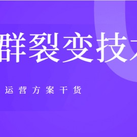 新手淘宝客也能年产200万店群裂变技术以及公司化运营方案