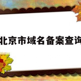 北京市域名备案查询(北京市域名备案查询官网)