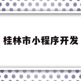 桂林市小程序开发(广西小程序开发公司)