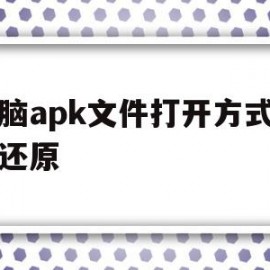 电脑apk文件打开方式怎么还原(电脑如何打开apk文件格式)